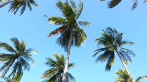 Музыка для души 🌱 Отдохни и расслабься сейчас 🔊 Слушай сейчас музыку 🌈