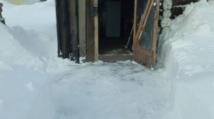 Снежный край. Зимовка пчел.