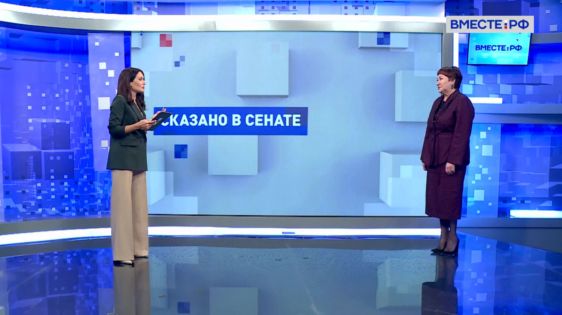 Главные изменения в социальной сфере. Елена Перминова. Сказано в Сенате смотреть онлайн