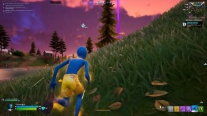 Fortnite 2026.01.12 - 18.14.00.33.Устранение.DVR