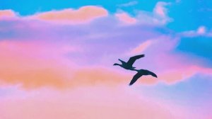 КРАСИВАЯ МУЗЫКА — ДЛЯ ДУШЕВНОГО ТЕПЛА И БЫСТРОГО ЗАСЫПАНИЯ