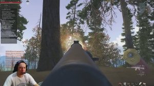 Кабаны на болоте. Stalker Online. Stay out. (Сталкер онлайн)