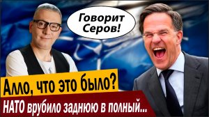 Алло, что это было? НАТО врубило заднюю в полный рост!