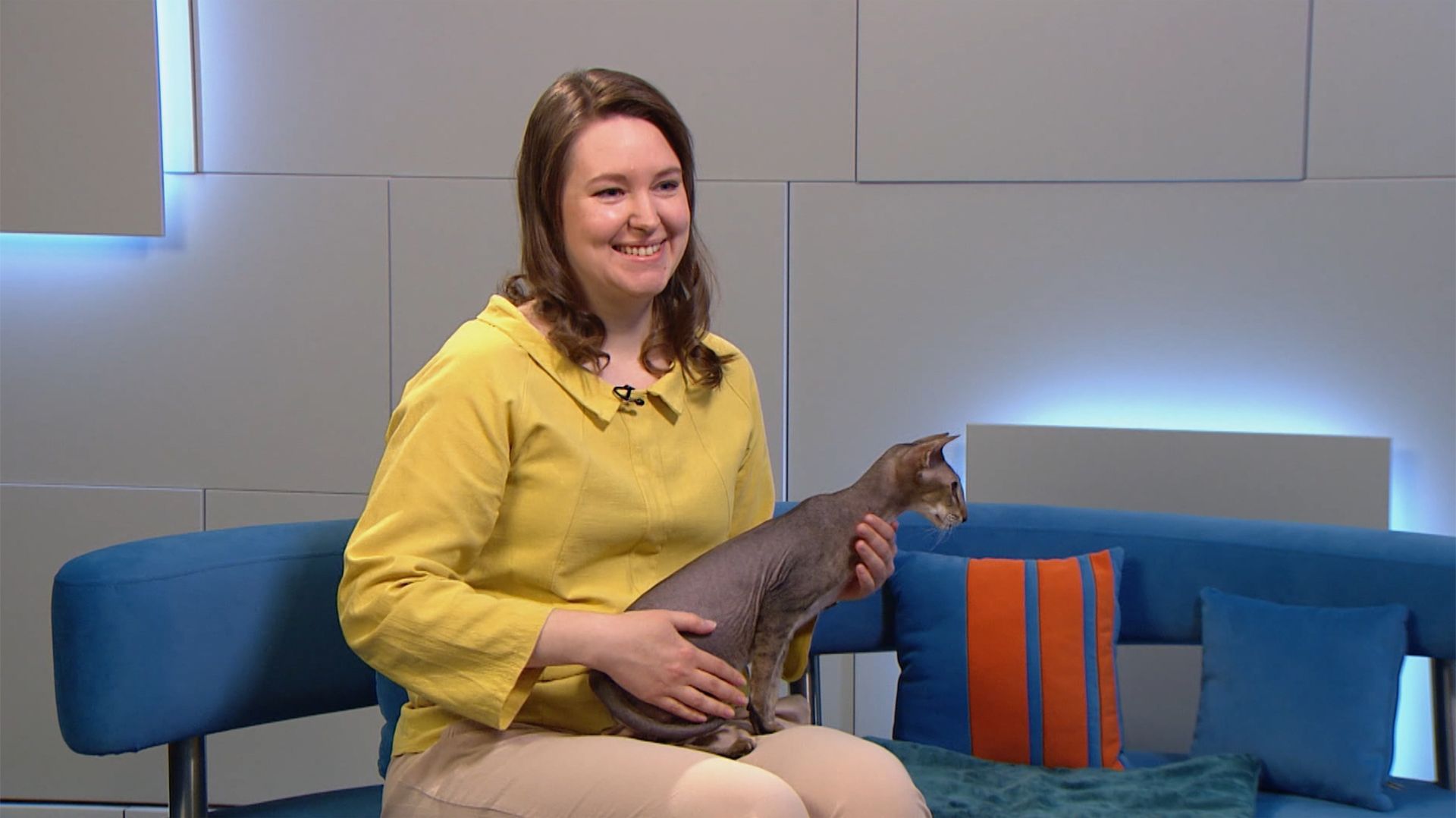 Местное время. Санкт-Петербург. Активист клуба "Котофей" Вера Шурыгина смотреть онлайн