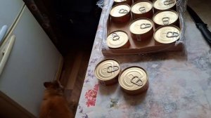 Январский день