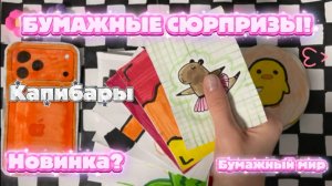 РАСПАКОВКА! БУМАЖНЫЕ СЮРПРИЗЫ! НОВИНКА? Бумажный мир