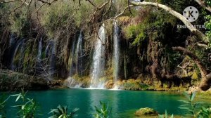 мы родились в Сибири//игра в прятки//обзор канала