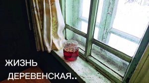 ДЕРЕВЕНСКАЯ жизнь глазами городского. Учусь чистить, топить и готовить в русской печи. Первый блин..