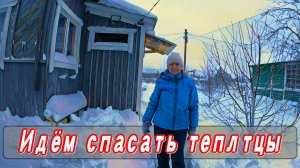 Идём спасать теплицы