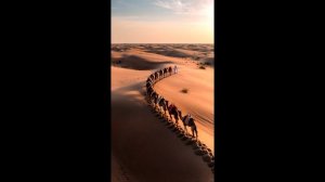 Караванщик (спасибо)