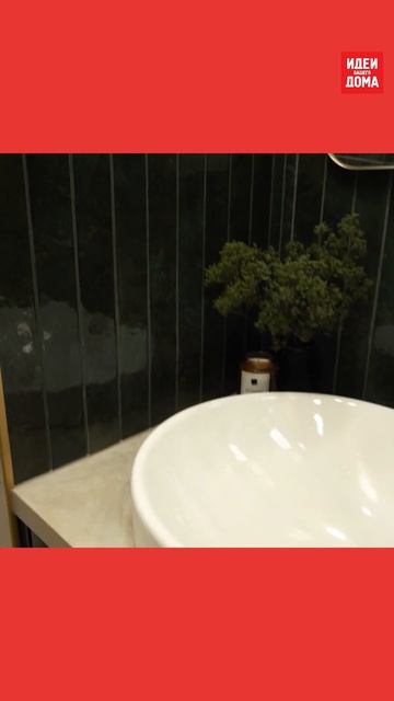 ОЧЕНЬ КРАСИВЫЙ ЦВЕТ для квартиры! смотреть онлайн