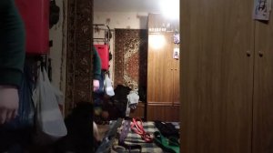 Бью макивару, отжимания, тренируюсь с резинкой, бью макивару.