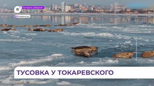 Огромное количество ларг уже который день собирается у Токаревского маяка во Владивостоке