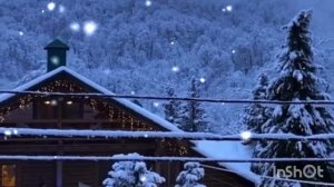 А В СОЧИ СНЕГ.. ПОВСЮДУ СНЕГ ❄️🌊🌴☃️❄️❄️❄️🎶