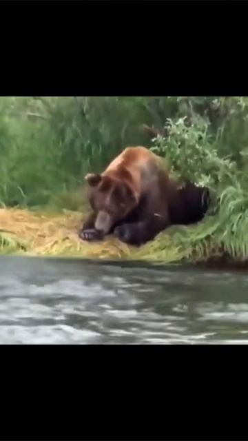 а вот и рыбалка #юмор #приколы #прикол смотреть онлайн