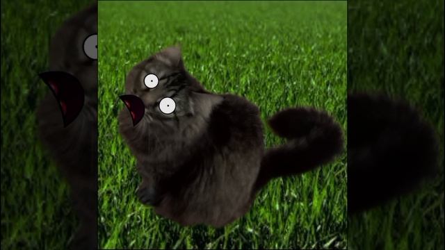 блевотная отрыжка