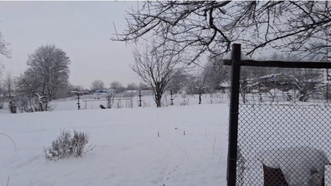 994 Чуть богу душу вчера не отдала! Морозы пришли на юг. смотреть онлайн