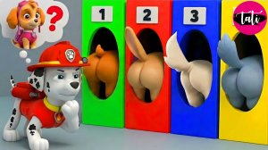 Щенячий патруль и Маршалл. Залипательное видео. Мультфильм для детей и малышей. Анимация 73