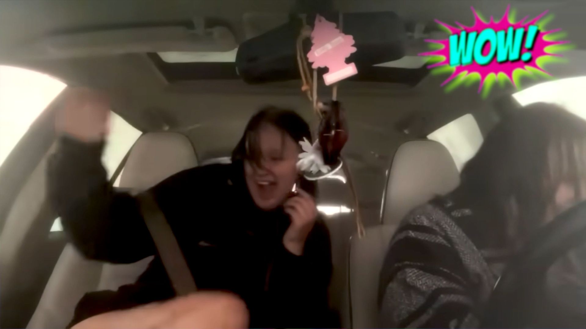 СМЕШНЫЕ ВИДЕО: ПРИКОЛЫ, КОТОРЫЕ НЕЛЬЗЯ ПРОПУСТИТЬ смотреть онлайн