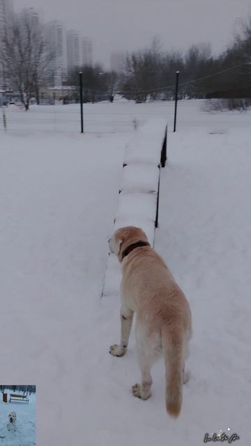 Площадка в снегу