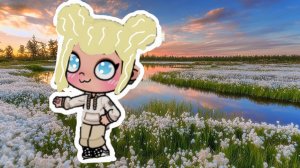 Оцените мой ос от 1 до 10