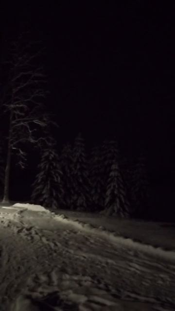 2026-01-14 19-29-01 смотреть онлайн