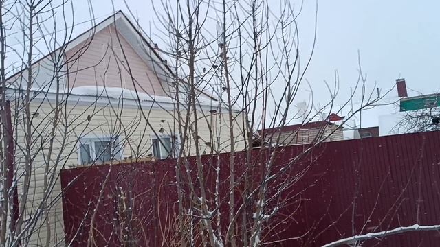 12.01.26. Закончились праздничные дни. Иду на прогулку. Здесь мы когда то жили, ностальгия. смотреть онлайн