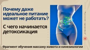 Почему даже идеальное питание может не работать? С чего начинается детоксикация. Фрагмент обучения