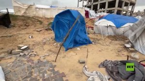 شتاء غزة.. رياح عاتية تقتلع خيام النازحين