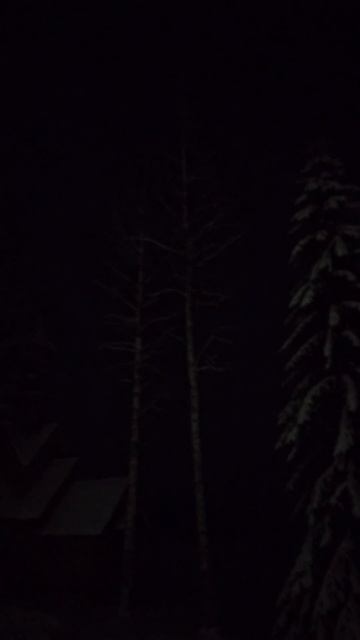 2026-01-14 19-42-42 смотреть онлайн