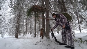 ОХОТА НА КУНИЦУ ПРОВЕРКА КАПКАНОВ