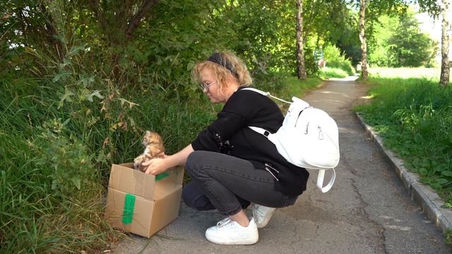 Библиотека и тайный сотрудник / Реж. М. Морозова. Из серии "Библиотечный Декамерон"