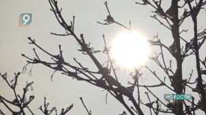 Новости Старого Оскола от 14 января