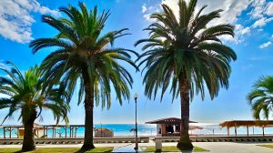 Абхазия. Гагра