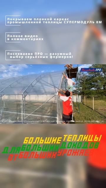 Покрываем плёнкой каркас промышленной теплицы Поспеваево ПРО - Супермодуль 8М смотреть онлайн