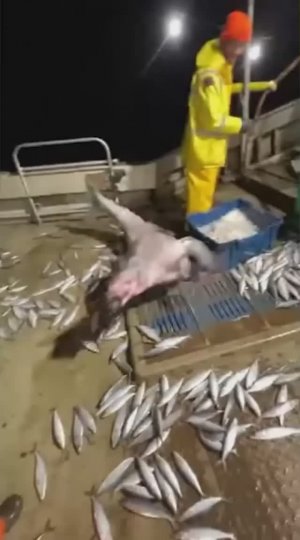 Всяка нечисть...