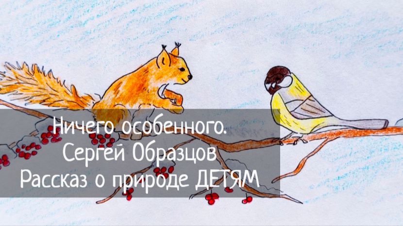 Ничего особенного. / Сергей Образцов / Рассказ о природе ДЕТЯМ смотреть онлайн
