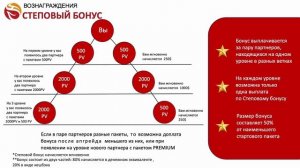 МАРКЕТИНГ ПЛАН КОМПАНИИ WHIEDA: коротко, ясно, доступно