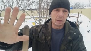 Способы стимуляции пчёл к раннему старту