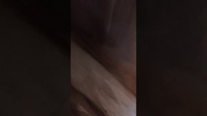 Как напугать моего брата😂😂😂😂😂😂😂