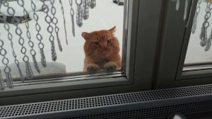 Понемногу обо всём #1