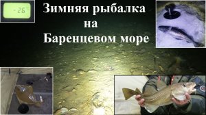 «ТРЕСКУ — В МЕШОК, СЕБЯ — В ПАЛАТКУ: ЗИМНЯЯ ЭКСПЕДИЦИЯ НА БАРЕНЦЕВО МОРЕ»