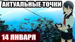 Проверил 3 ТОЧКИ на леща на оз. ОСТРОГ... ● Русская Рыбалка 4 | РР4