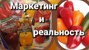 Перец. Ожидания и реальность. Критерии выбора перца на 2026 год