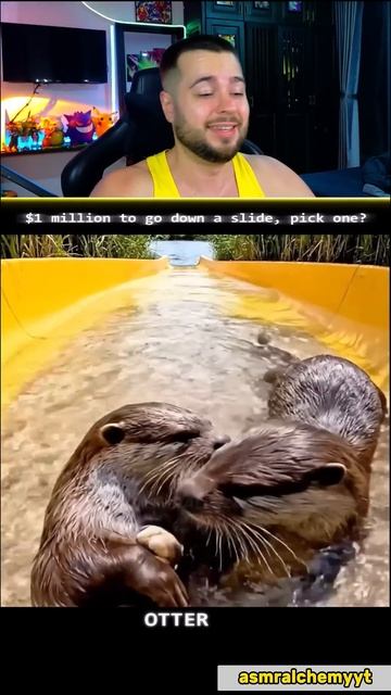 Выбери Горку за ОДИН МИЛЛИОН ДОЛЛАРОВ #shorts #шортс #марти смотреть онлайн