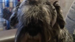 ИГНОР.., САМЫЙ ЛУЧШИЙ ОТВЕТ😃😃