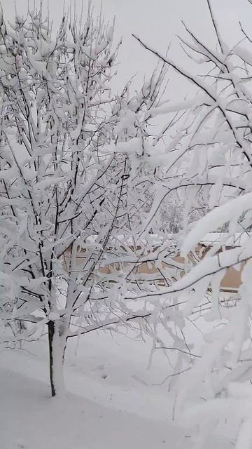 2026-01-14 19-57-30 смотреть онлайн