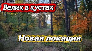 Нашёл спрятанный велосипед в кустах. Изучаю новую локацию для поиска с металлоискателем. Тольятти