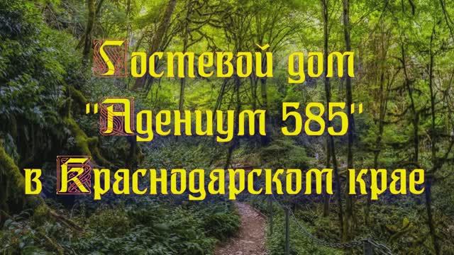 Гостевой дом «Адениум 585» в Краснодарском крае смотреть онлайн