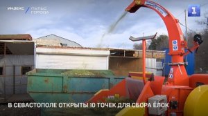 В Севастополе открыты 10 точек для сбора ёлок